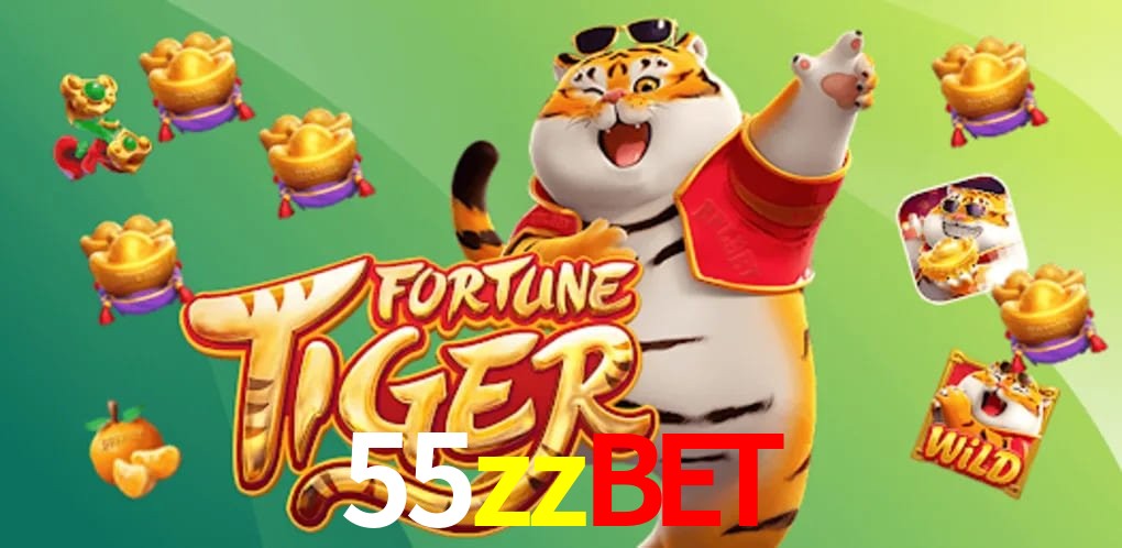 Experiência VIP 55zzbet